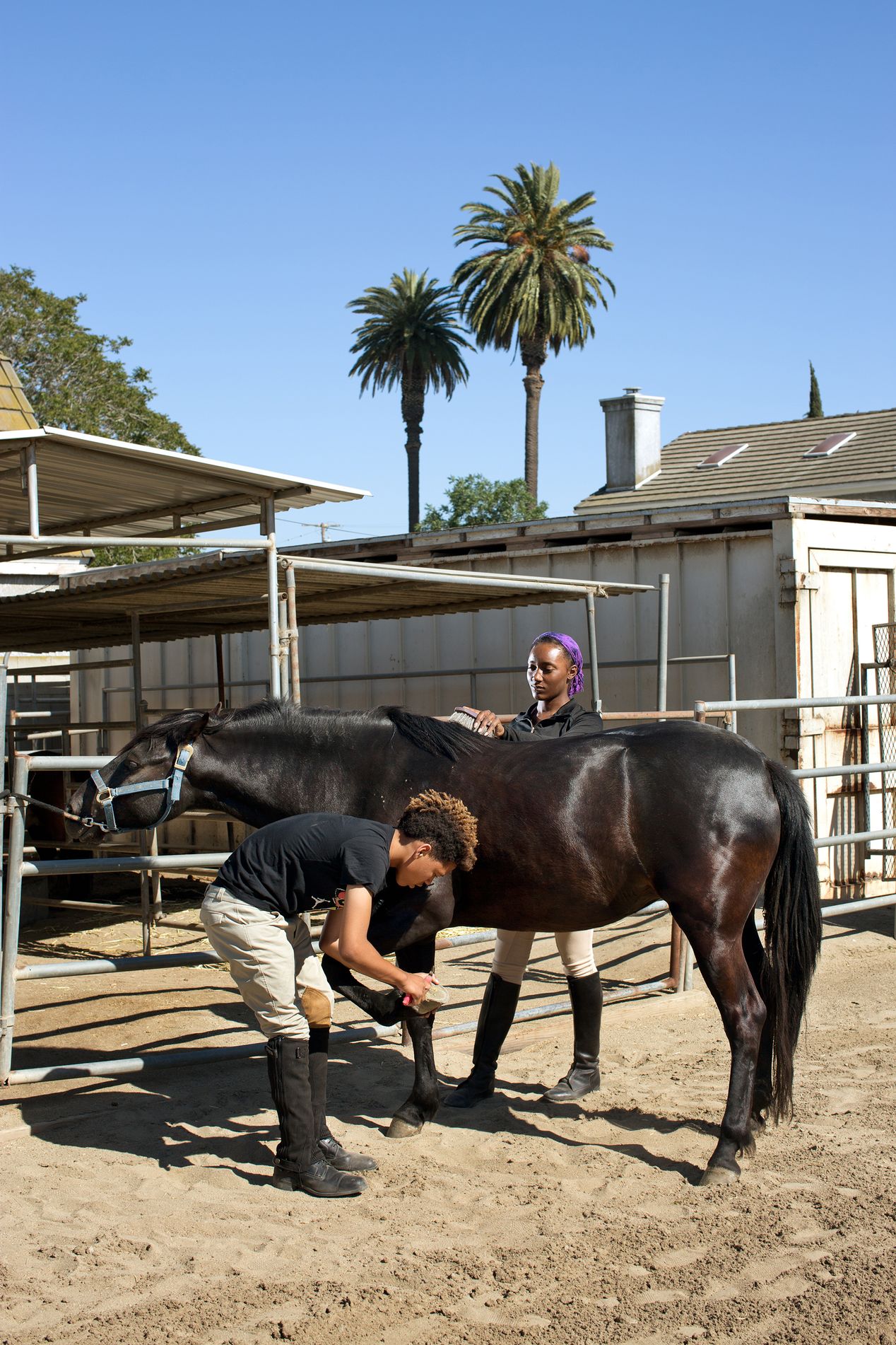Young equestrian attending to a horse, Ilona Szwarc, best editorial photographer in Los Angeles.
