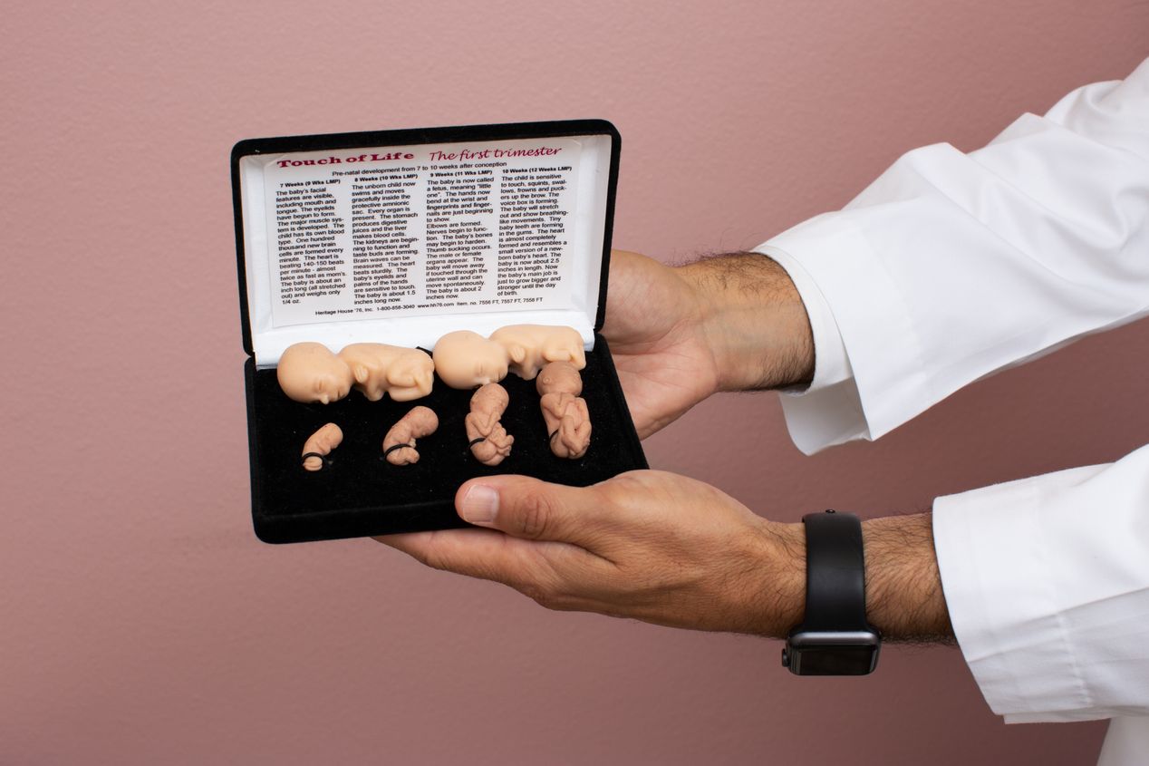 Doctor's hands holding a fetus model set, editorial photography, Ilona Szwarc, Los Angeles.