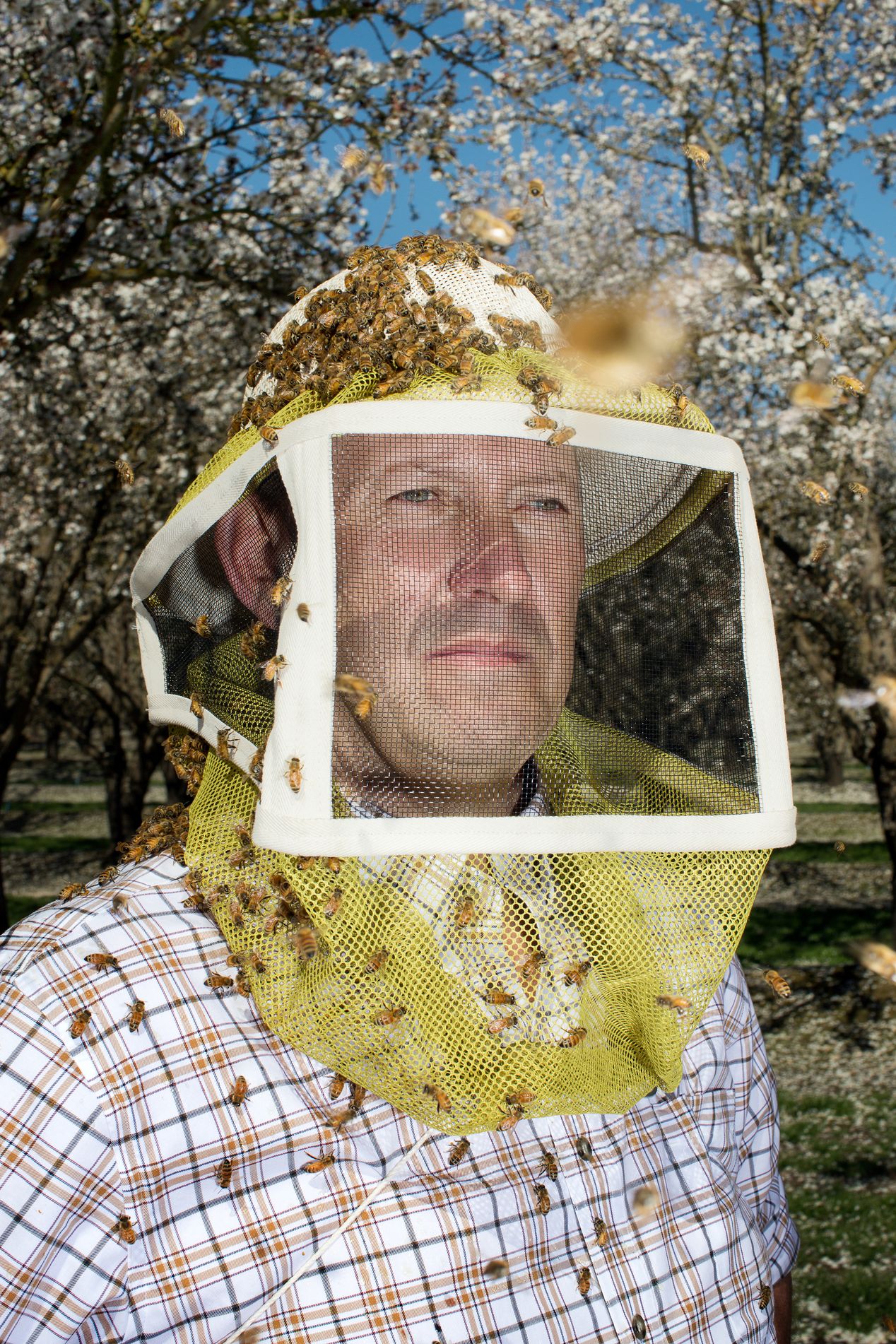 Beekeeper in Central Valley, California, Ilona Szwarc, Los Angeles editorial photographer. 