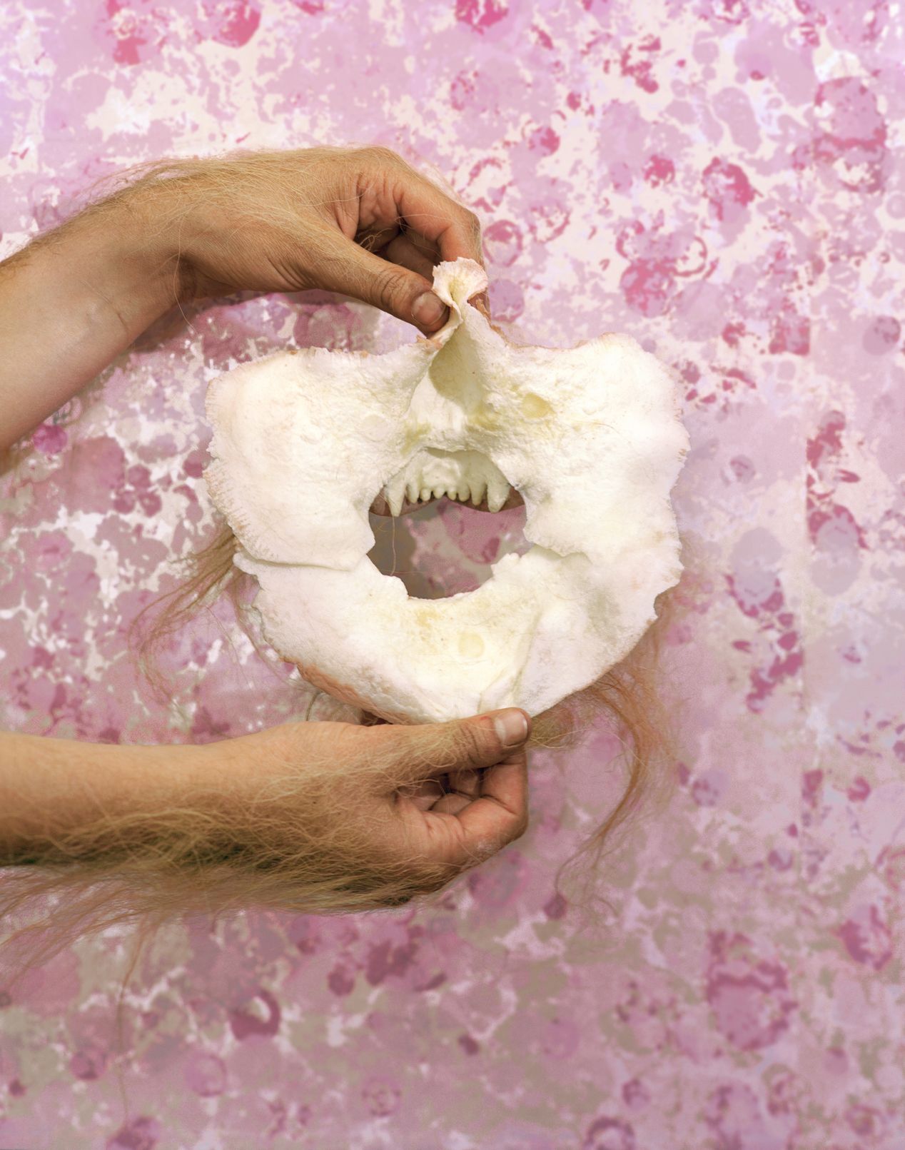 An inside of a mask, art photography, Ilona Szwarc, contemporary Los Angeles artist.