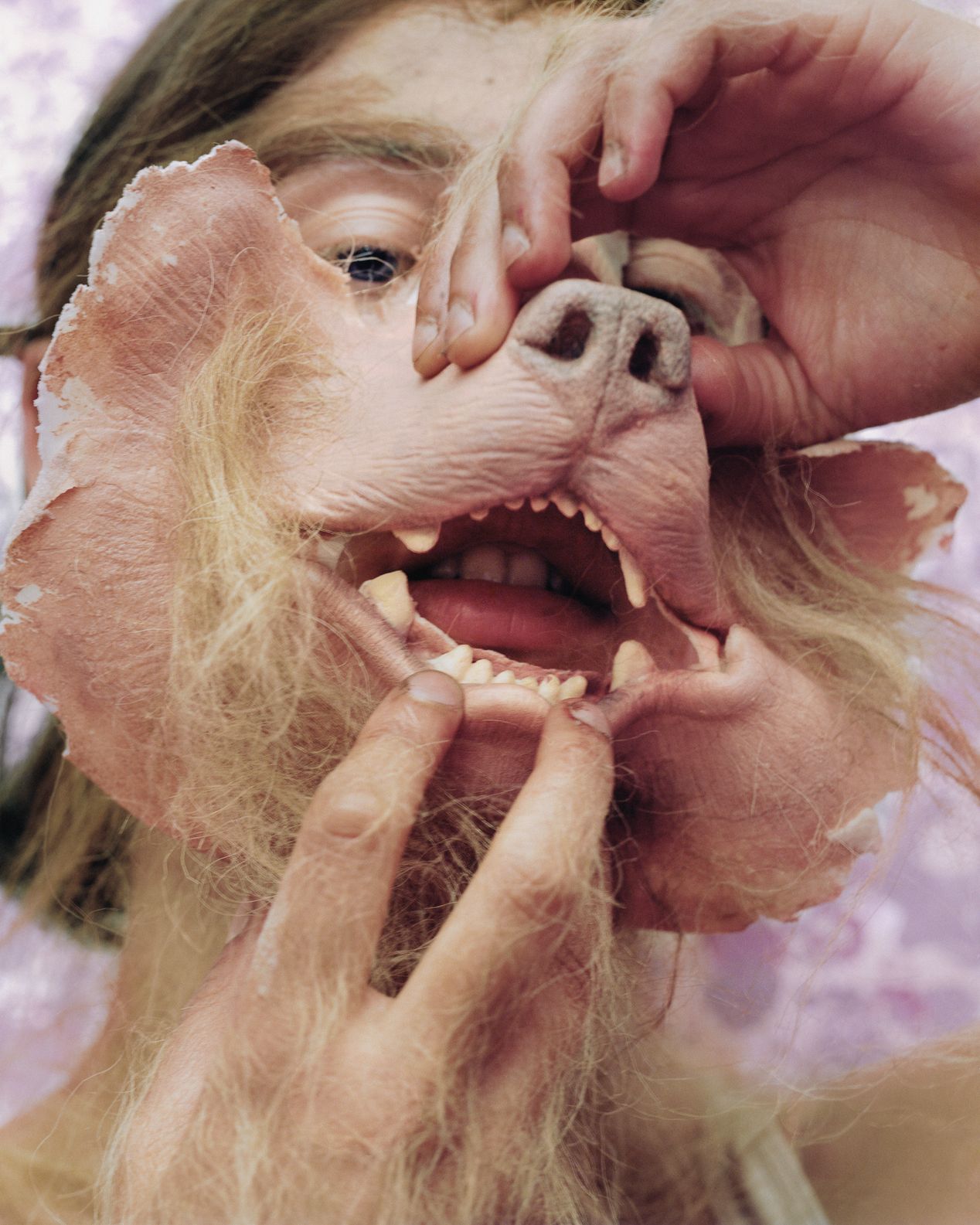 Young woman is fitting a dog mouth prosthetic on her face, art photography, Ilona Szwarc, contemporary Los Angeles artist.